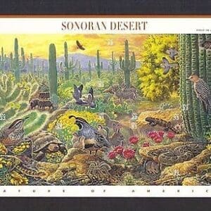 Scott# 3293 "SONORAN DESERT" #1 of the NATURE OF AMERICA SERIES, MNH