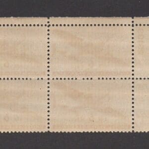 Alternative view of Scott# C25 "TWIN-MOTORED TRANSPORT" PLATE BLOCK (4) MNH