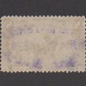 Alternative view of Scott# 289 "TRANS MISSISSIPPI" WITH VIOLET TENN. MT. SLOGAN CANCEL