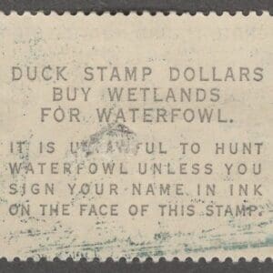 Alternative view of Scott# RW31 "DUCK STAMP" 1964 "NENE GEESE" MINT * SEE DETAILS *