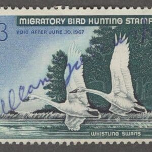 Scott# RW33 "DUCK STAMP"1966 "WHISTLING SWANS" USED