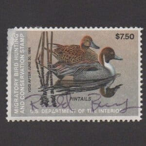 Scott# RW50 "DUCK STAMP" 1983 "PINTAILS" USED WITH FLAWS