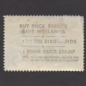 Alternative view of Scott# RW50 "DUCK STAMP" 1983 "PINTAILS" USED WITH FLAWS