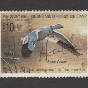 Scott# RW55 "DUCK STAMP" 1988 "SNOW DUCKS" USED WITH FLAWS