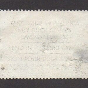 Alternative view of Scott# RW55 "DUCK STAMP" 1988 "SNOW DUCKS" USED WITH FLAWS