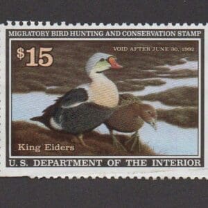 Scott# RW58 "DUCK STAMP" 1991 "KING EIDERS" USED