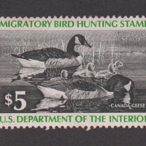 Scott# RW43 "DUCK STAMP" 1976 "CANADA GEESE" USED, WELL CENTERED