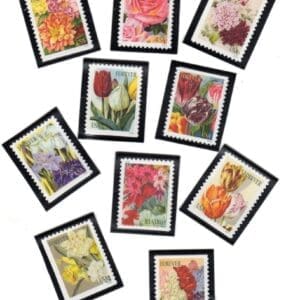 Scott# 5042-51b "BOTANICAL ART" S/A BOOKLET SINGLES SET (10) MNH