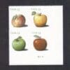 Scott# 4727-30 "APPLES" S/A PLATE BLOCK (4) MNH, NICELY CENTERED