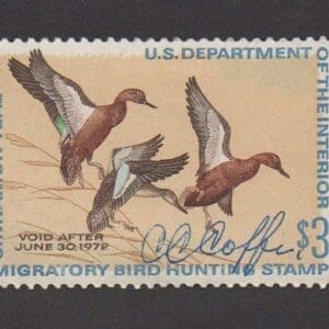 Scott# RW38 "DUCK STAMP"1971 "CINNAMON TEAL" USED NICELY CENTERED