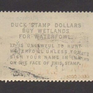 Scott# RW31 "DUCK STAMP" 1964 "NENE GEESE" USED, SIGNED - Image 2