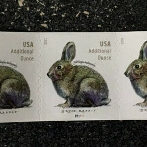 Scott# 5545 "BRUSH RABBIT" PNC (5) MNH, PLATE # P11111