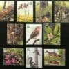 Scott# 3611 "LONGLEAF PINE FOREST" #4 NATURE SERIES SINGLES, MNH