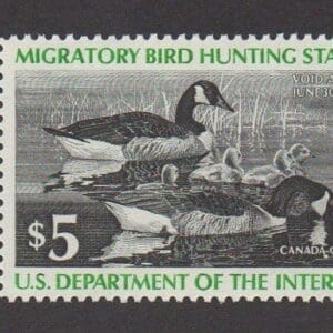 Scott# RW43 "DUCK STAMP" 1976 "CANADA GEESE" MNH, NICELY CENTERED