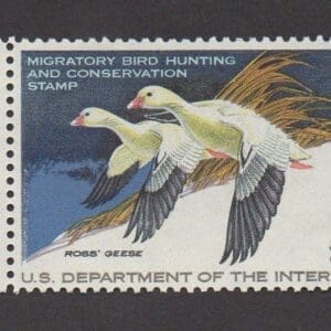 Scott# RW44 "DUCK STAMP"1977 "ROSS GEESE" MNH, NICELY CENTERED