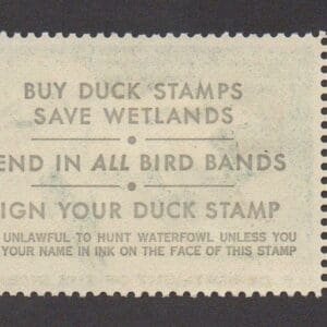 Scott# RW44 "DUCK STAMP"1977 "ROSS GEESE" MNH, NICELY CENTERED - Image 2