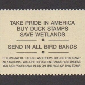 Alternative view of Scott# RW58 "DUCK STAMP" 1991 "KING EIDERS" MNH, NICELY CENTERED