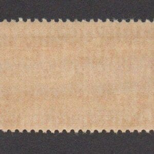 Alternative view of Scott# E16 "SPECIAL DELIVERY" MNH SINGLE, VERY NICELY CENTERED