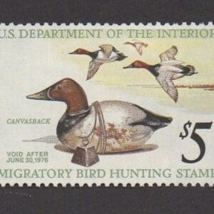 Scott# RW42 "DUCK STAMP"1975 "CANVASBACK" MNH, NICELY CENTERED