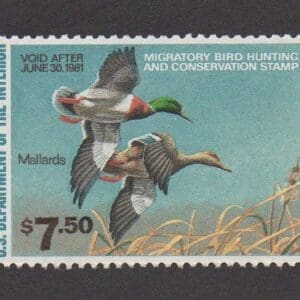 Scott# RW47 "DUCK STAMP"1975 "MALLARDS" MNH, NICELY CENTERED