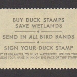 Scott# RW47 "DUCK STAMP"1975 "MALLARDS" MNH, NICELY CENTERED - Image 2