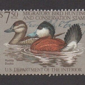 Scott# RW48 "DUCK STAMP"1981 "RUDDY DUCKS" USED