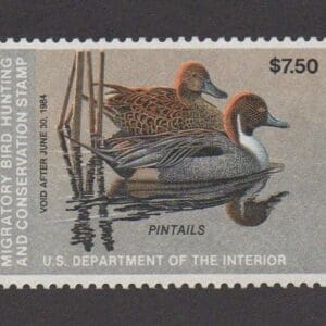 Scott# RW50 "DUCK STAMP" 1983 "PINTAILS" MNH, NICELY CENTERED