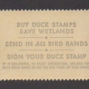 Alternative view of Scott# RW51 "DUCK STAMP" 1984 "WIGEON DUCKS" MNH, NICELY CENTERED