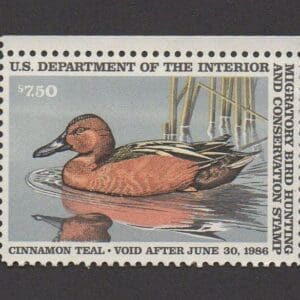 Scott# RW52 "DUCK STAMP" 1985 "CINNAMON TEAL DUCKS" MNH