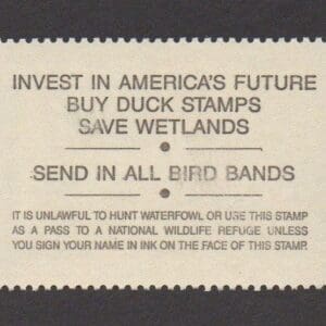 Alternative view of Scott# RW61 "DUCK STAMP" 1994 "RED BREASTED MERGANSER" MNH