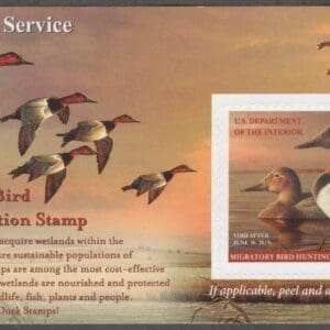 Scott# RW81a "DUCK STAMP" 2014 "CANVAS BACKS" MNH, VERY NICELY CENTERED
