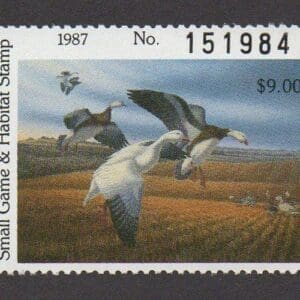 Scott# ND6 "SNOW GOOSE" ND STATE DUCK STAMP + FLEETWOOD PAGE