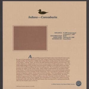 Scott# IN12 "CANVASBACKS" IN STATE DUCK STAMP+FLEETWOOD PAGE - Image 3