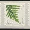 Scott# 4973a "FERNS" COIL STRIP (5) 2015 DATE MNH
