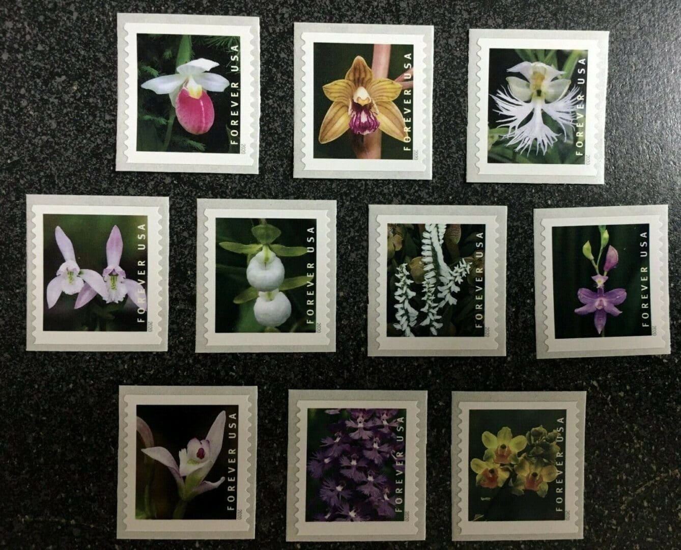 Scott# 5435-5444 (5444a) "WILD ORCHIDS" S/A COIL SINGLES SET (10) MNH