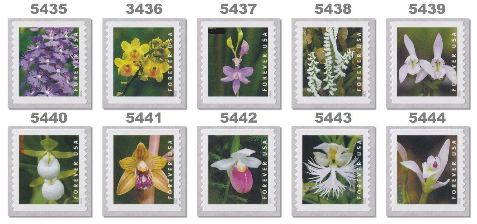Scott# 5435-5444 (5444a) "WILD ORCHIDS" S/A COIL SINGLES SET (10) MNH - Image 2