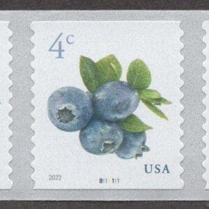 Scott# 5653 "BLUEBERRIES" MNH COIL PNC5 P#B11111, NICELY CENTERED