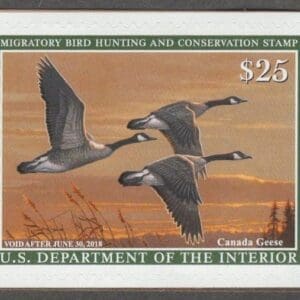 Scott# RW84 "DUCK STAMP" 2017 "CANADA GEESE" MNH S/A SINGLE, NICELY CENTERED
