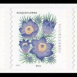 Scott# 5672-75 "MOUNTAIN FLORA" MNH PNC (5) P# P111 NICELY CENTERED