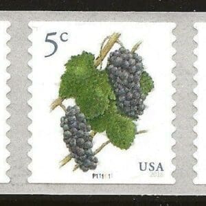 Scott# 5038 "GRAPES" MNH PNC5, PLATE # P111111, NICELY CENTERED