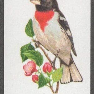 Scott# 4889d "ROSE BREASTED GROSBEAK" NO DIE CUT SINGLE, NICELY CENTERED