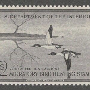 Scott# RW23 DUCK STAMP 1956 AMERICAN MERGANSER, MINT, VERY NICELY CENTERED