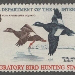 Scott# RW36 DUCK STAMP 1969 "SCOOTERS" USED, VERY NICELY CENTERED