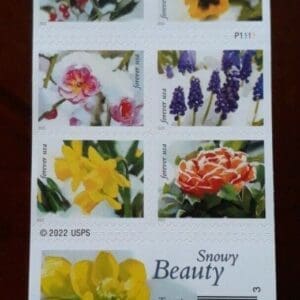 Scott# 5727-36 "SNOWY BEAUTY" UNFOLDED BOOKLET PANE (20) MNH - Image 2