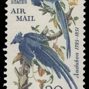 Scott# C71 "COLUMBIA JAY'S-AUDUBON" MNH SINGLE, NICELY CENTERED