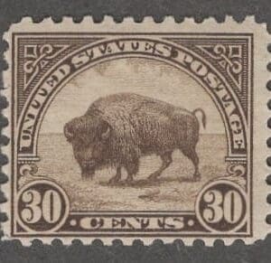Scott# 700 "AMERICAN BUFFALO" ROTARY PRESS 11 x 10.50, MNH