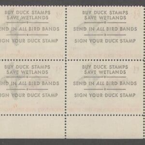 Alternative view of Scott# RW36 DUCK STAMP 1969 "SCOTERS" MNH PLATE BLOCK (4)