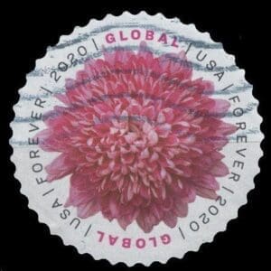 Scott# 5460 PINK CHRYSANTHEMUM GLOBAL FOREVER USED SINGLE