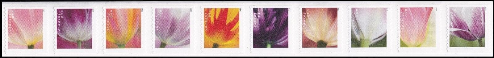Scott# 5767-76 "TULIP BLOSSOMS" MNH COIL STRIP (10)