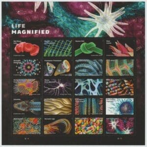 Scott# 5802 "LIFE MAGNIFIED" FULL SHEET (20) MNH, NICELY CENTERED